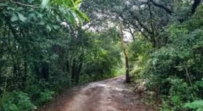 Tilari Wildlife Sanctuary near Yog Anand