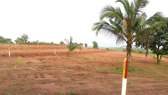 Actual Yog Anand internal road development in March 2026