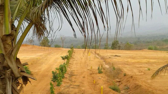 Actual Yog Anand plot area and demarcation work in March 2026